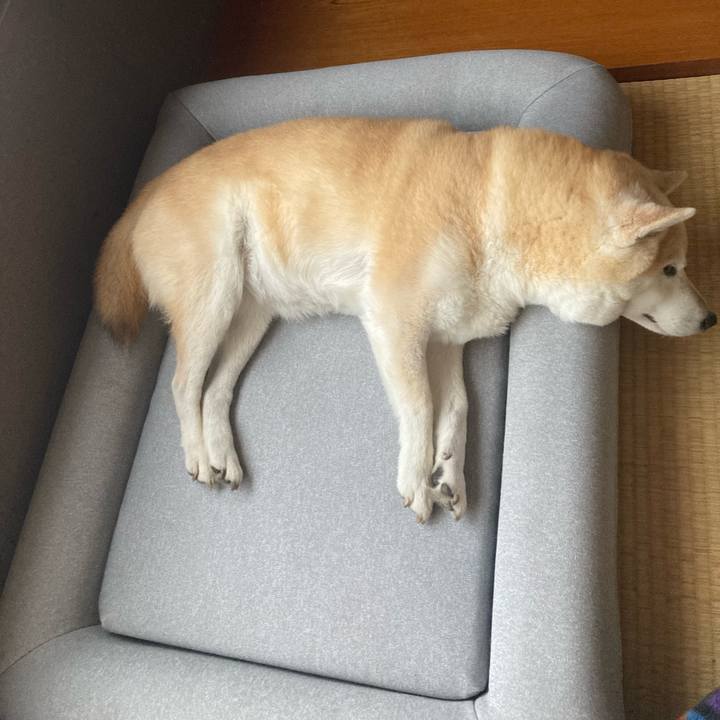 7a554e53 fd27 4966 aabd d8568122efba 1667485220007