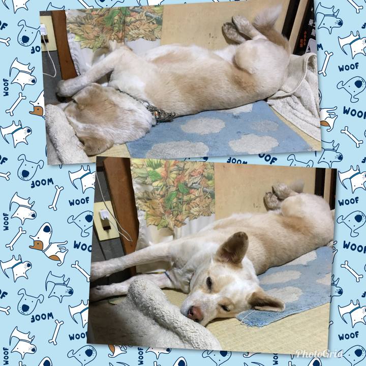 7a5567a0 32ca 46cb 864e b8ed598ba4ff 1520954278162