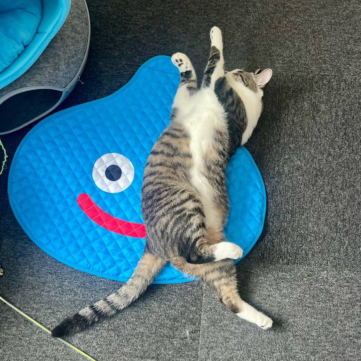 7a5574e5 10e2 4636 b9e5 2e1550ef39c8 1760162222907