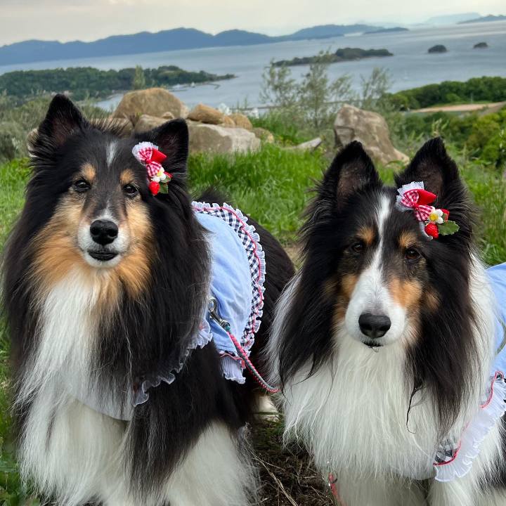 7a558596 1adf 4e52 bf32 486cc28f3b2a 1651518808589