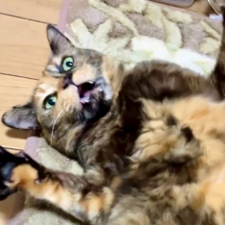 7a55b5f3 22a4 41f9 b74e c4c9ddff1d15 1740858237780