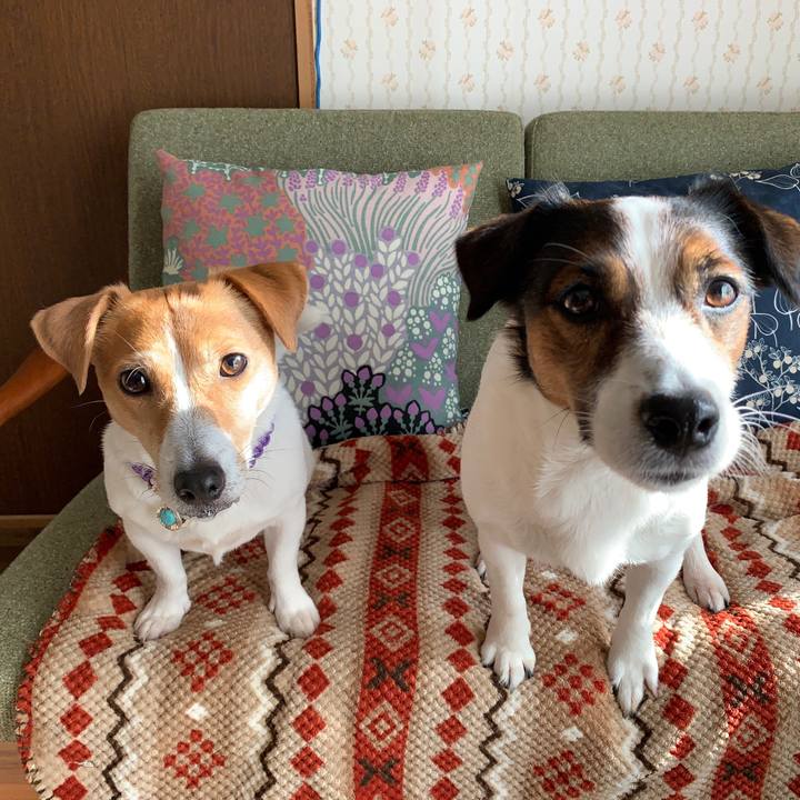 7a55f5b7 7fbc 42ea 8cfa bafff5c266b5 1582330153331