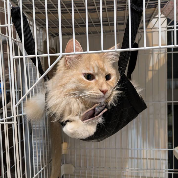 7a55ff08 469b 450f b649 2ea4e4922613 1726308555644