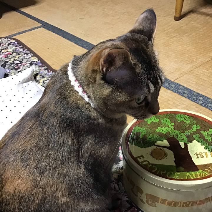 7a56085d cd7c 4e05 96c5 e4f265ddf97a 1650013085347