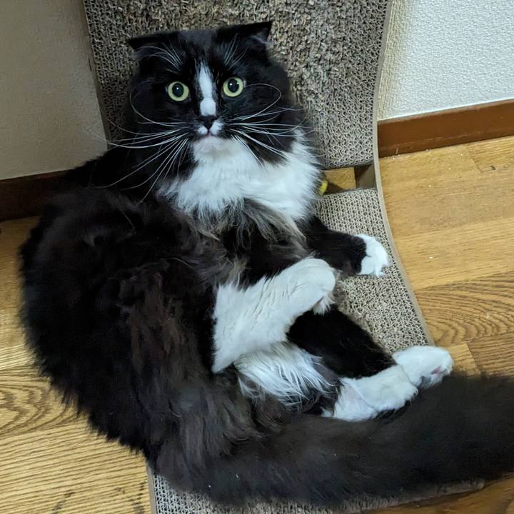 7a5617b3 b48a 41c7 8167 59cbed4cc102 1712317425464