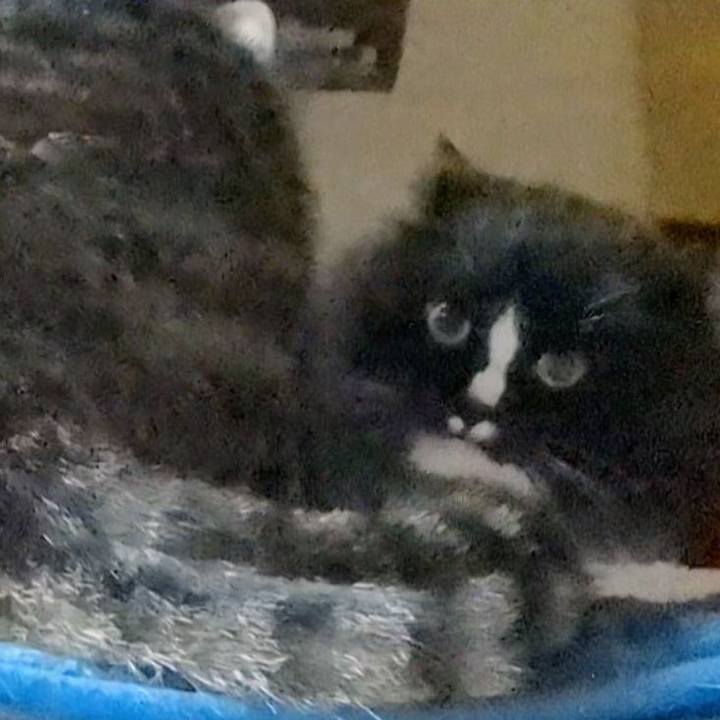 7a561d59 77e4 42e4 a72a 6913a27f86ca 1756298938768