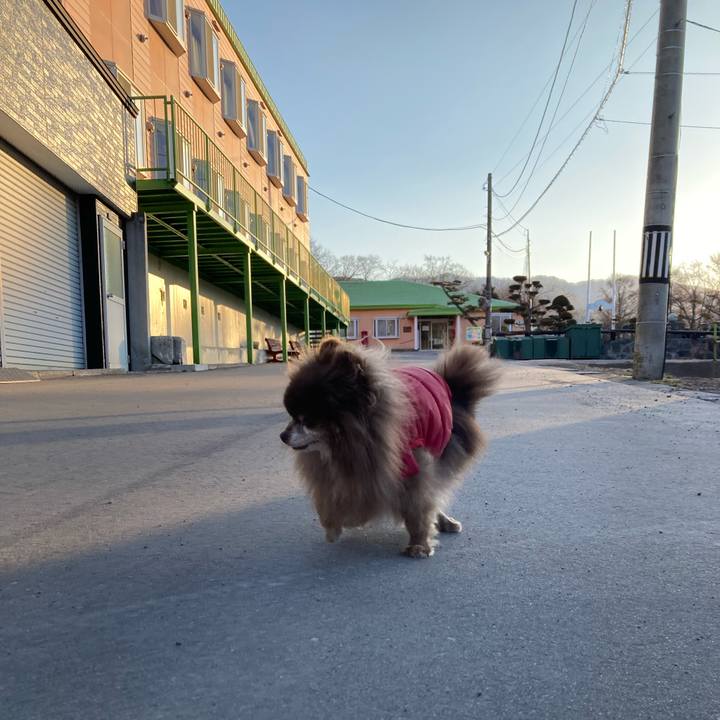 7a5636d1 d3af 4f6e 8190 1c5af0a0e781 1711237342526