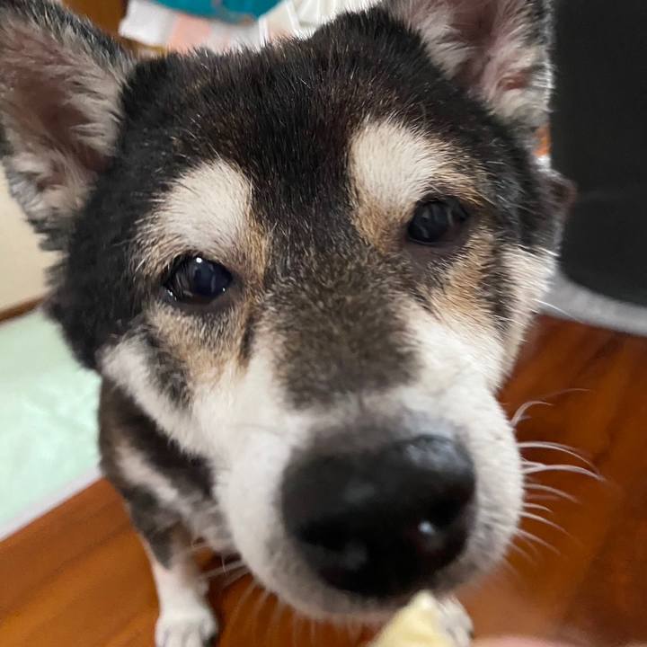 7a564e0a 2eec 404f a394 9652d223b832 1668055076317