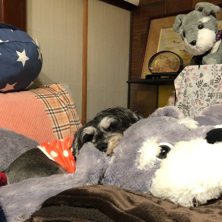 7a566972 8836 4f81 9e17 41cdd1ef7556 1641125158637