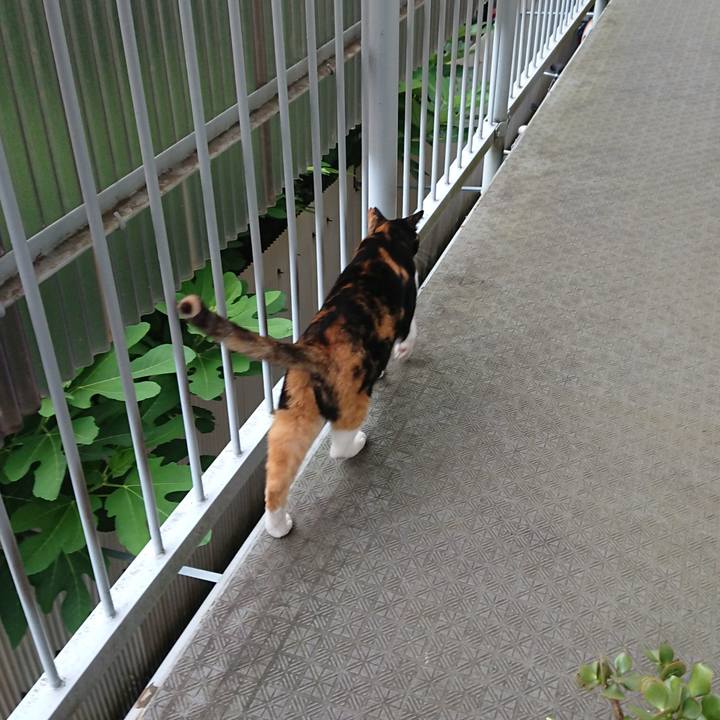 7a568284 501f 4915 91be b03e5b85b8a7 1530676506463