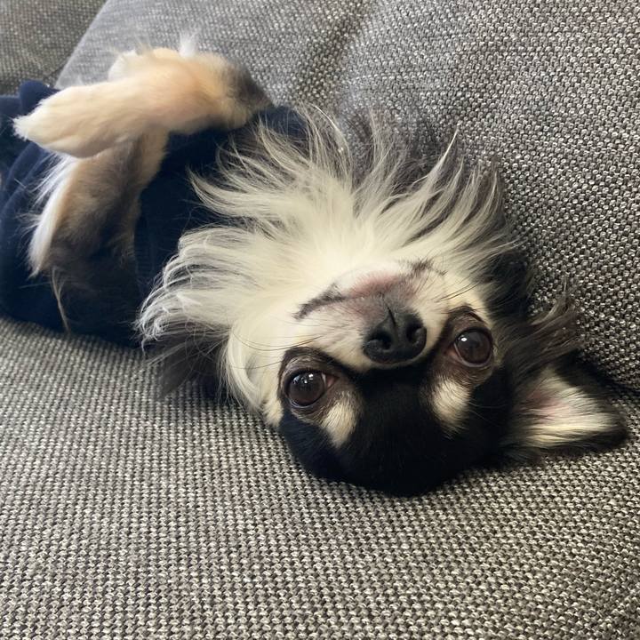 7a568efe aef1 436c 9377 c88451dd46a7 1614398239527