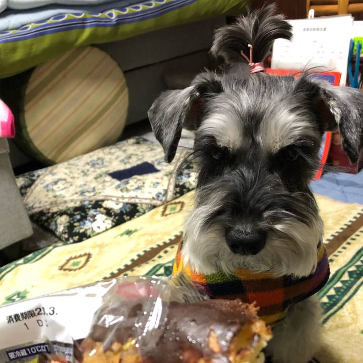 7a56a8c7 26c7 4ff6 905d 9c7ad48a58a5 1677758915148