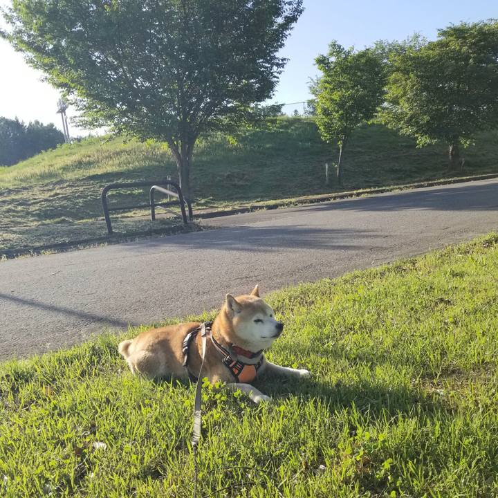 7a56aca2 b1b1 4301 bfc5 c920e55cbce4 1715241449583