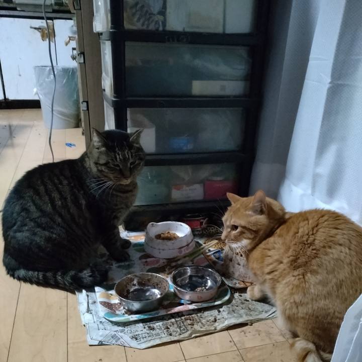 7a56cfb0 a23f 4fa4 ad6a 27772a66d679 1674599708854