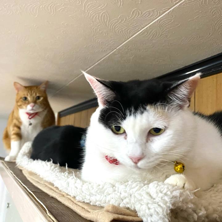 7a5706de cd20 47c3 9b95 44839a875149 1764854828170