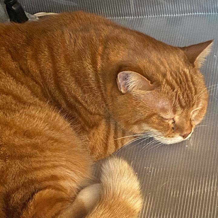 7a570dc0 0ba9 4691 81dc 422a8b6a631d 1642480732074