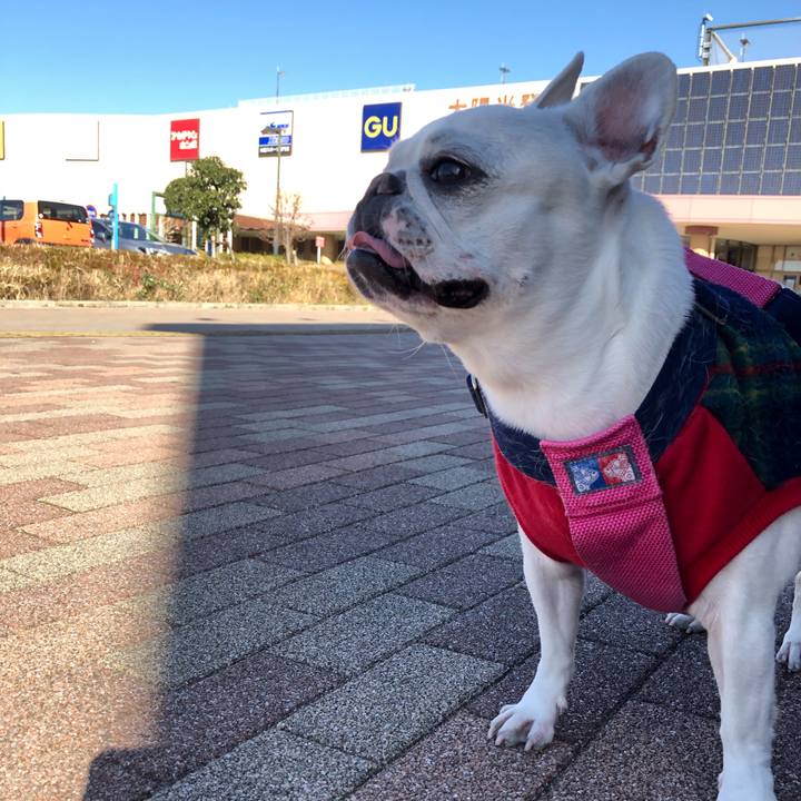 7a572378 49c1 4f1c b241 8595e5600188 1608284176442