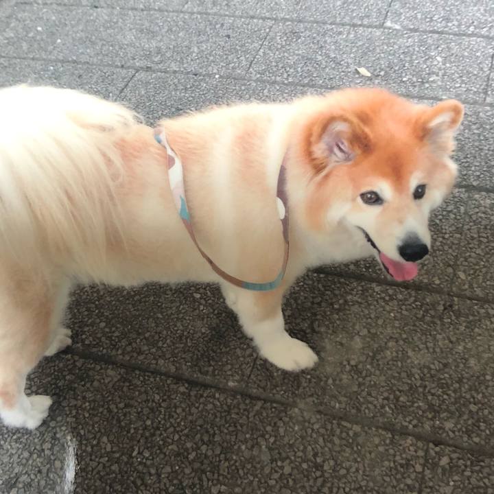 7a5733cc 4285 4fac 996a 51333b8c941a 1514816072420