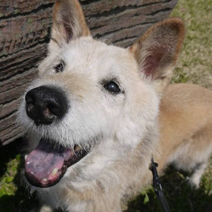 7a575418 2a42 4250 95ee 044f6af1daad 1597272153799