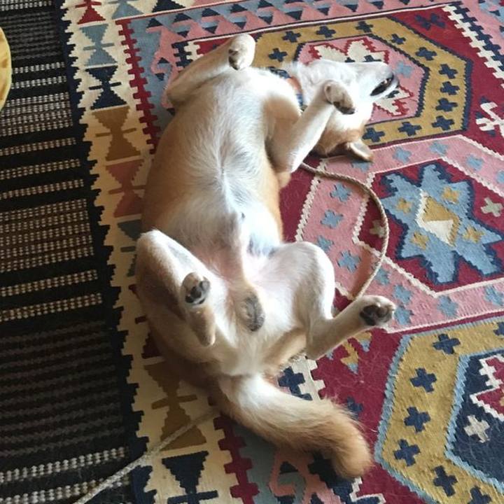 7a578490 d5a3 4b9a 8147 a941541b7d19 1565508361632