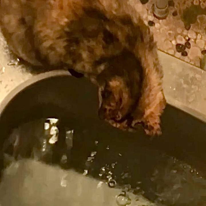 7a57ec17 97e9 47e5 9027 64186ae69687 1742845283402