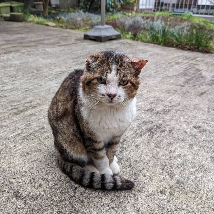 7a57fc9a 6f63 4af3 9a78 8210e9faf77c 1678694756429