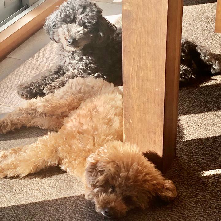 7a581ba7 90db 46b0 835a 0637e7aa2bfd 1609129387039