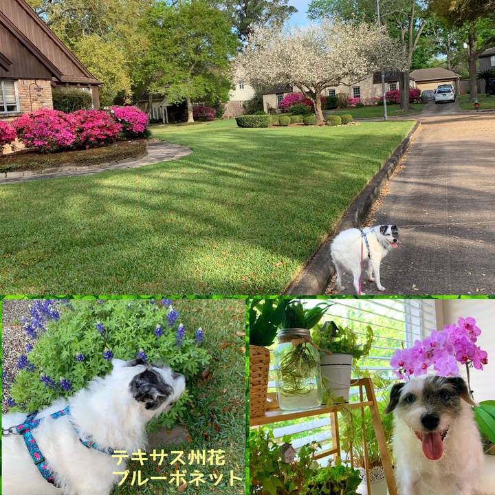 7a585e67 44d3 4acb 8124 27b61e8acd46 1649110001934