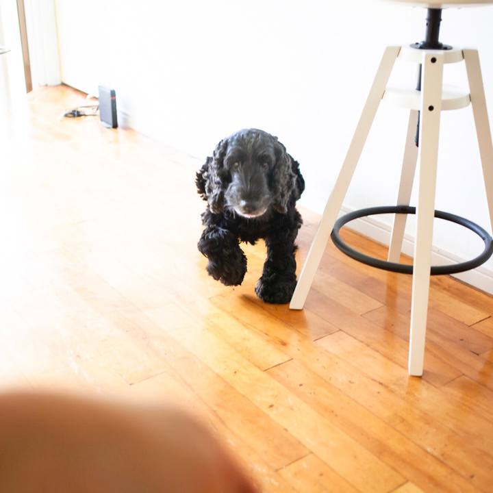 7a587bf8 56db 41f3 88b4 8bed04702616 1591086821227