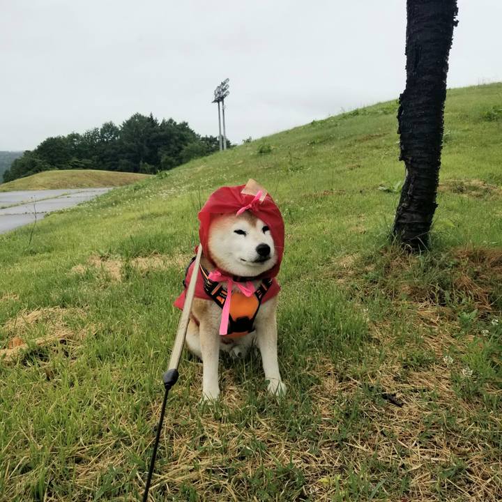 7a5884ea 2a44 4048 88df 5da6bb89dc1c 1716871292250