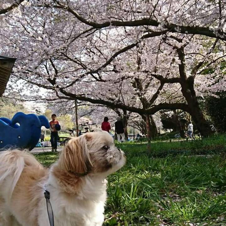 7a588e83 7502 4c25 82dd 10d7a1f3d32a 1522563052842