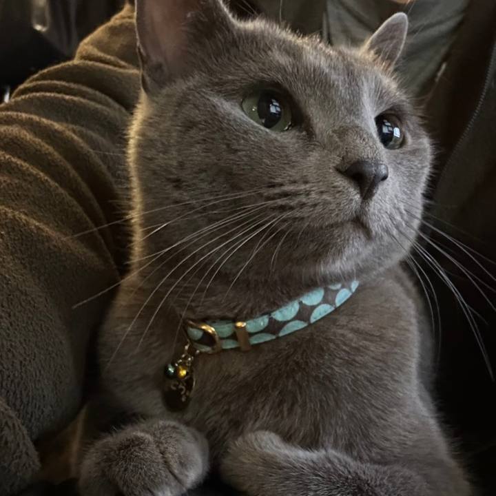 7a58d9f0 15d8 4dcd a9be 93ebf228bd76 1684105898030