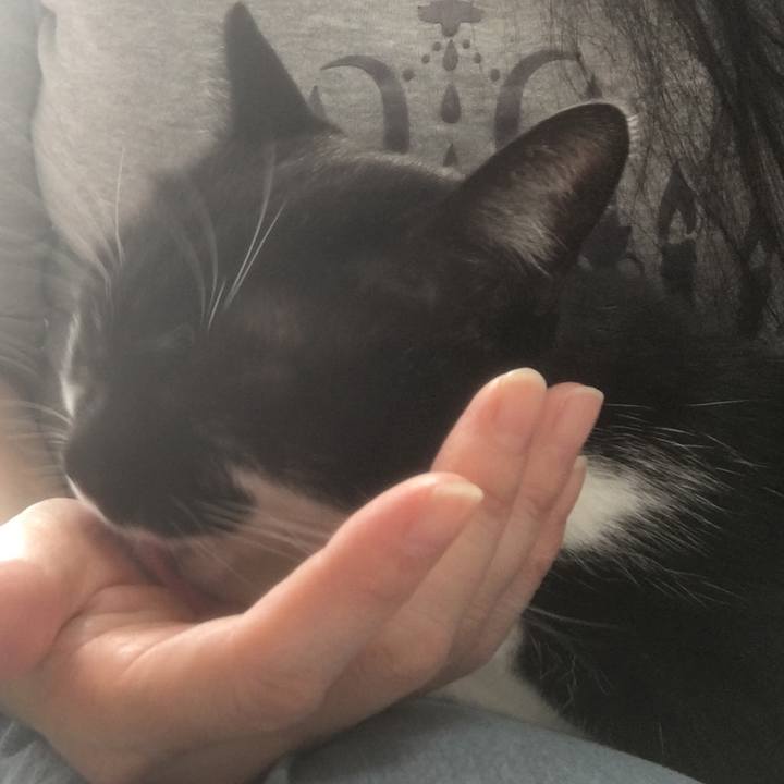 7a58fb0e 8044 4c5c b4d0 5bc9ccbec9f2 1539838192985