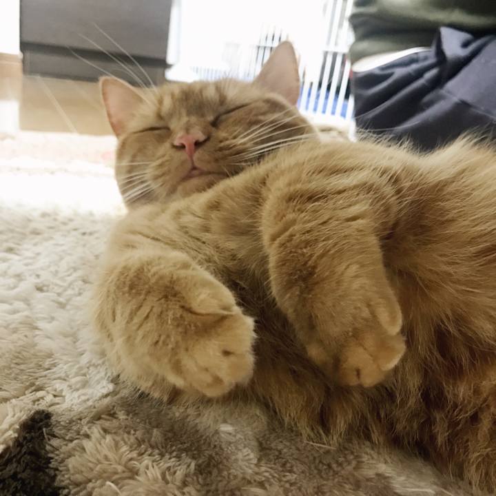 7a5953bc 0572 4552 8c74 be451b183d78 1520260695128