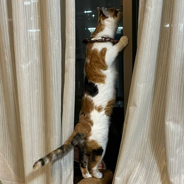 7a5953fe dedc 4a5d a747 ab317f73f32b 1759675087599