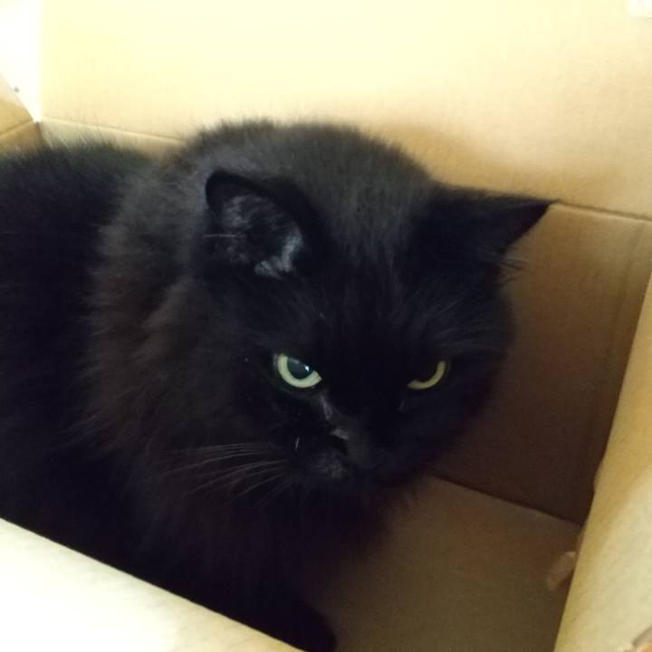 7a596b4b 196b 4477 bf0a 67b9cec53b41 1599350521506