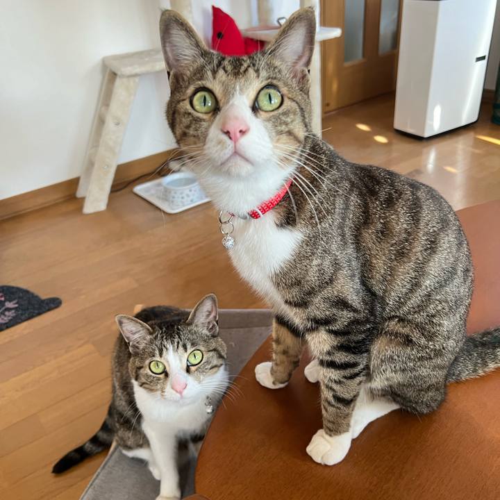 7a59b3a7 7b20 4600 8d88 06437de715cd 1719454853328