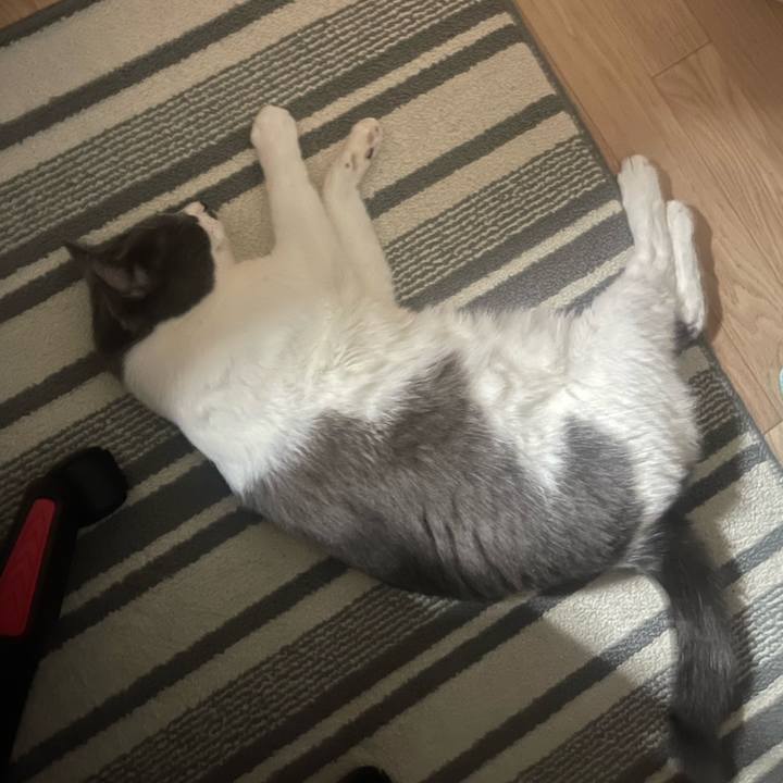 7a59f071 2dfb 40c7 a071 fa4005cfac2d 1754230410992