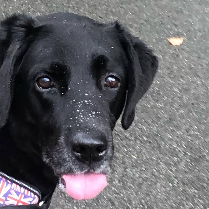 7a5a44f9 ad1d 42f7 bd95 e386d2ee4452 1696902478974