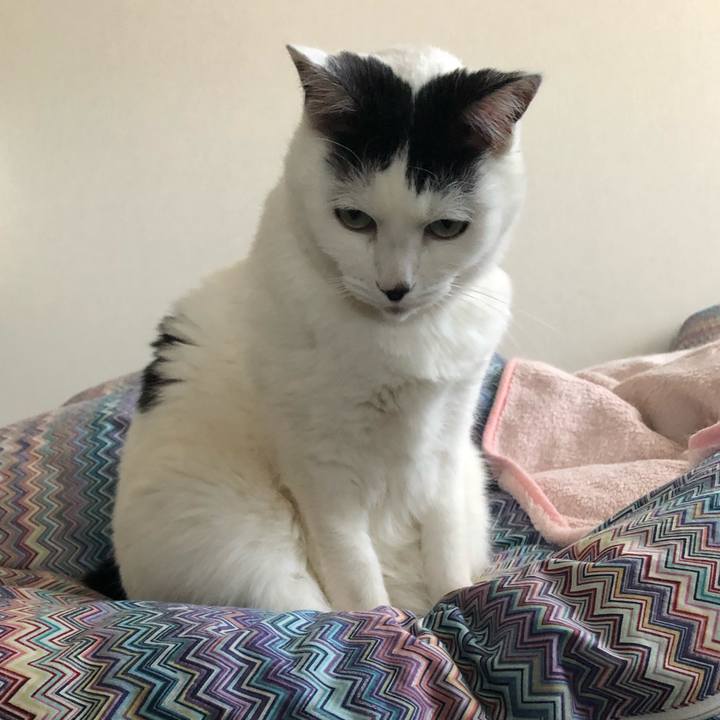 7a5a50b3 ae41 4ede b923 4c3398700b75 1545017563816