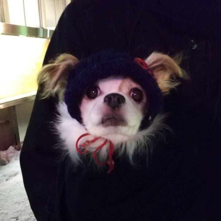 7a5a5c50 d975 4fba 9a54 68bc86652a55 1518263716318