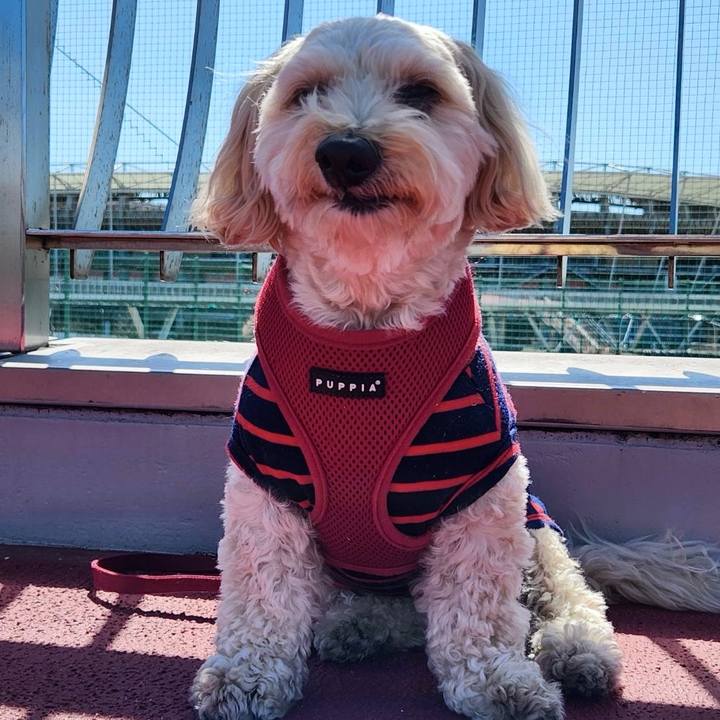 7a5a6a5b 43c1 4672 915a 0c65aff3c1c7 1773634757837