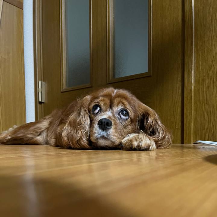 7a5a8d89 3fdc 4993 84bb f43a74fd3265 1659758153499