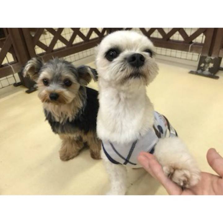 7a5a9a09 0df2 4c67 abd2 a019523b6303 1535106816945