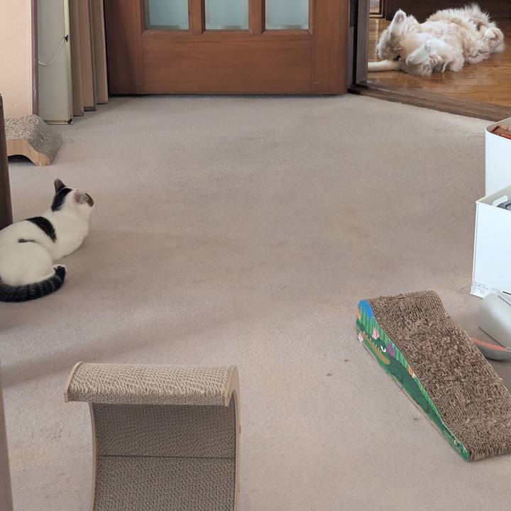 7a5a9ca7 f29b 44d7 8634 5ad9c3c64d7e 1755741919439