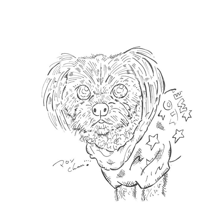 7a5a9d65 d5fb 4a97 afd4 997bc313c2c4 1582646226568