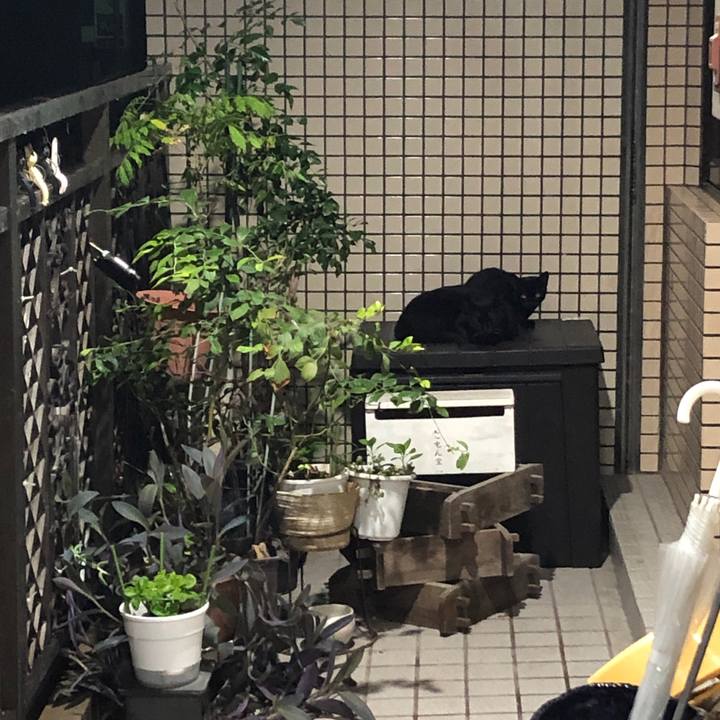 7a5b0b06 1ff8 4623 a631 3a7807291f08 1629293405461