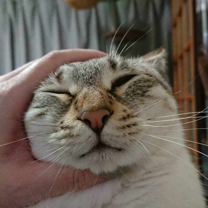 7a5b2965 cdf0 4d9a bede 89874a57bebe 1616336337605