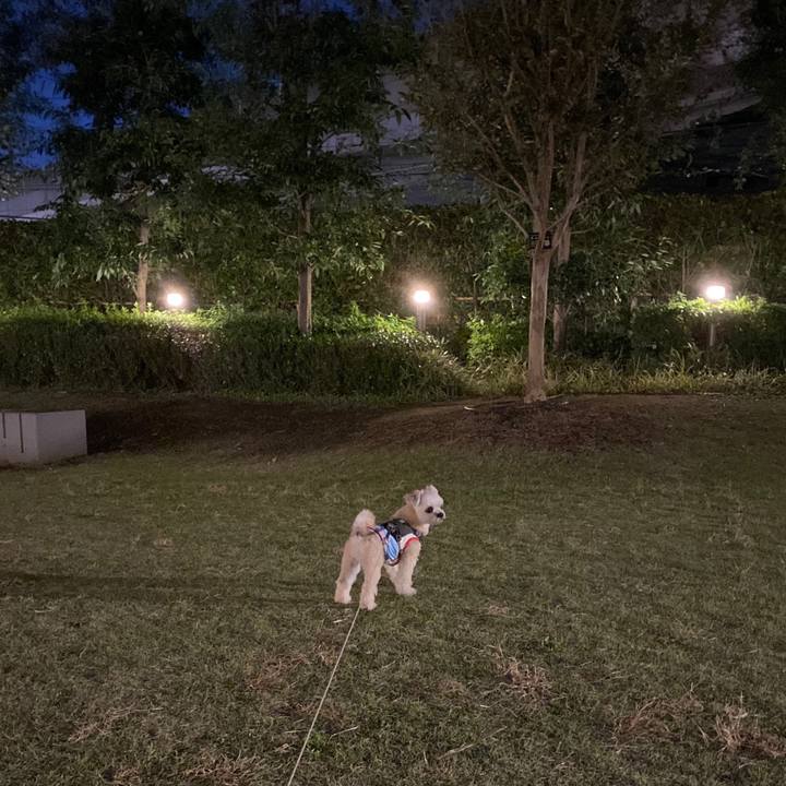 7a5b62f3 2d3f 4e02 9fd7 bdac5d2d1556 1572858368559