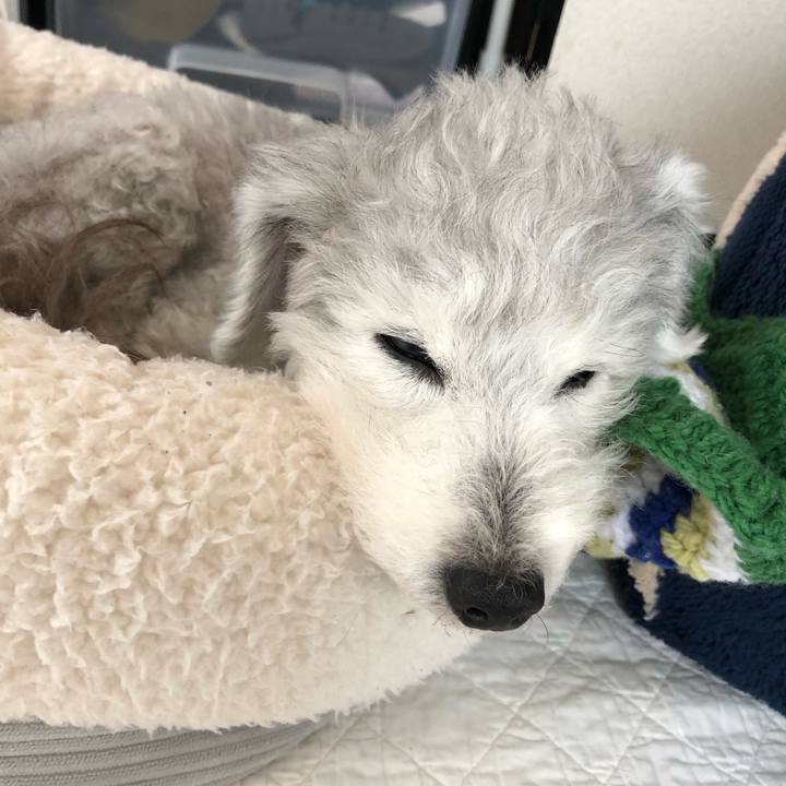 7a5b93f0 9e74 4282 826b 49fa54d95823 1591408717995